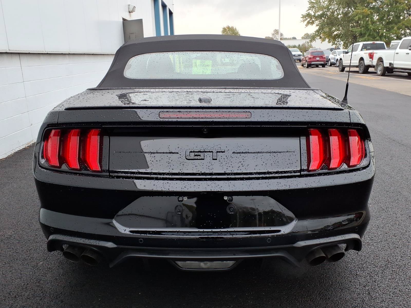 Used 2021 Ford Mustang GT Premium w/ Equipment Group 401A RWD image 5