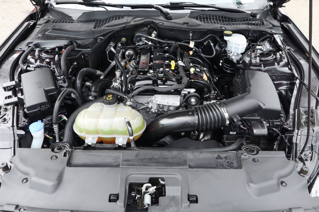 Used 2023 Ford Mustang Coupe RWD image 11