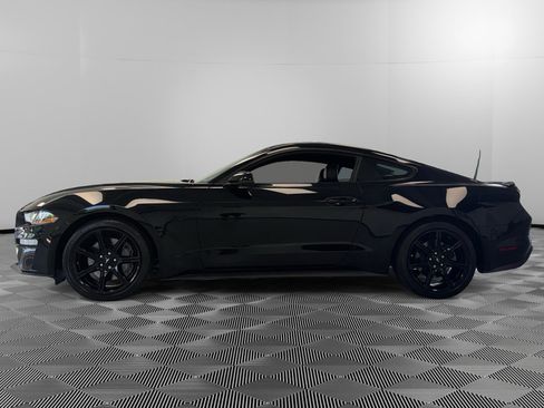 Used 2019 Ford Mustang GT Premium w/ Equipment Group 401A RWD image 5