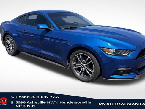 Used 2017 Ford Mustang Premium w/ Equipment Group 201A RWD image 2