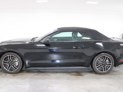 Used 2023 Ford Mustang Premium image 7