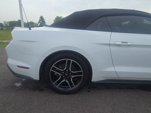 Used 2019 Ford Mustang Premium RWD image 11