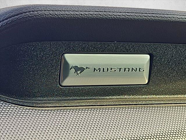 Used 2019 Ford Mustang GT RWD image 14