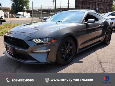 Used 2020 Ford Mustang Coupe w/ Equipment Group 101A RWD image 1