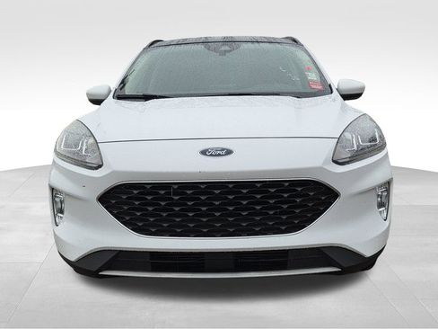 Used 2020 Ford Escape SEL AWD/4WD image 3