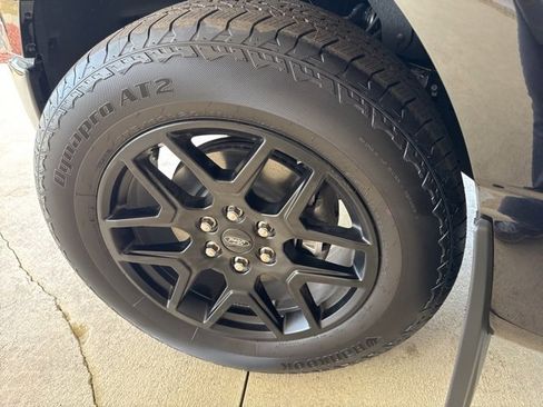 New 2025 Ford F150 STX w/ STX Black Appearance Package image 39