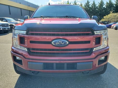 Used 2019 Ford F150 XLT w/ Equipment Group 302A Luxury image 2