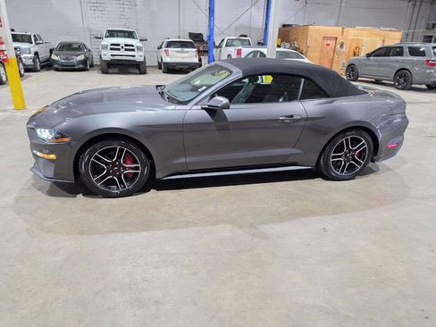 Used 2020 Ford Mustang Premium RWD image 4