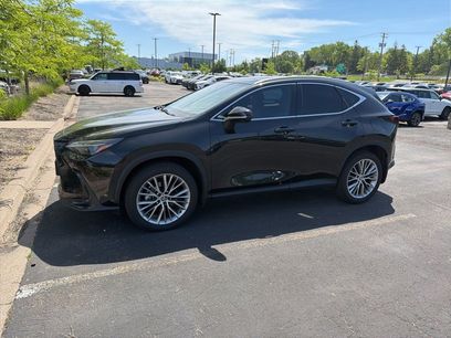 Used 2024 Lexus NX 350h AWD w/ Vision Package
