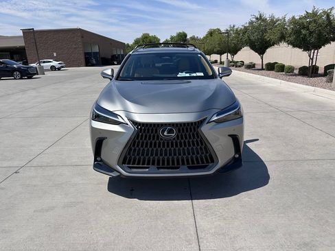 Used 2025 Lexus NX 350h AWD w/ Cold Area Package image 2