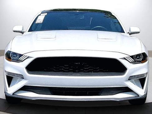 Used 2019 Ford Mustang Coupe w/ Equipment Group 101A RWD image 3