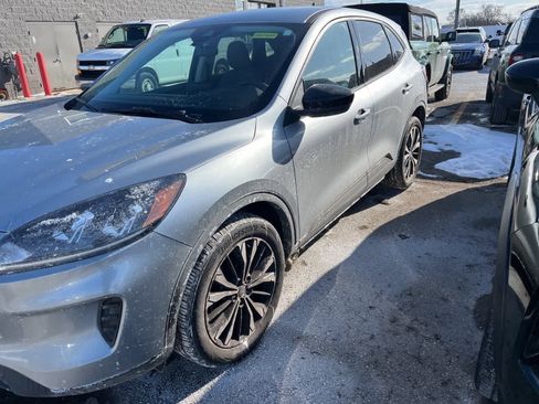 Used 2022 Ford Escape SE w/ SE Sport Appearance Package image 5