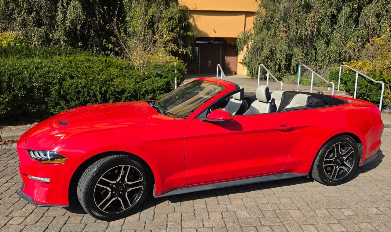 Used 2020 Ford Mustang Premium RWD image 1