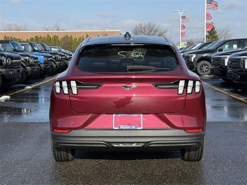 New 2025 Ford Mustang Mach-E Premium w/ Interior Protection Package image 6