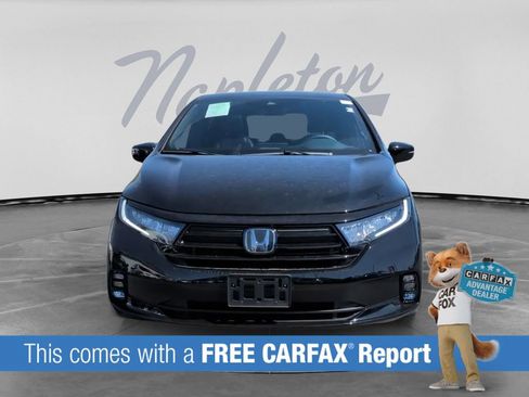 Used 2024 Honda Odyssey Sport image 2