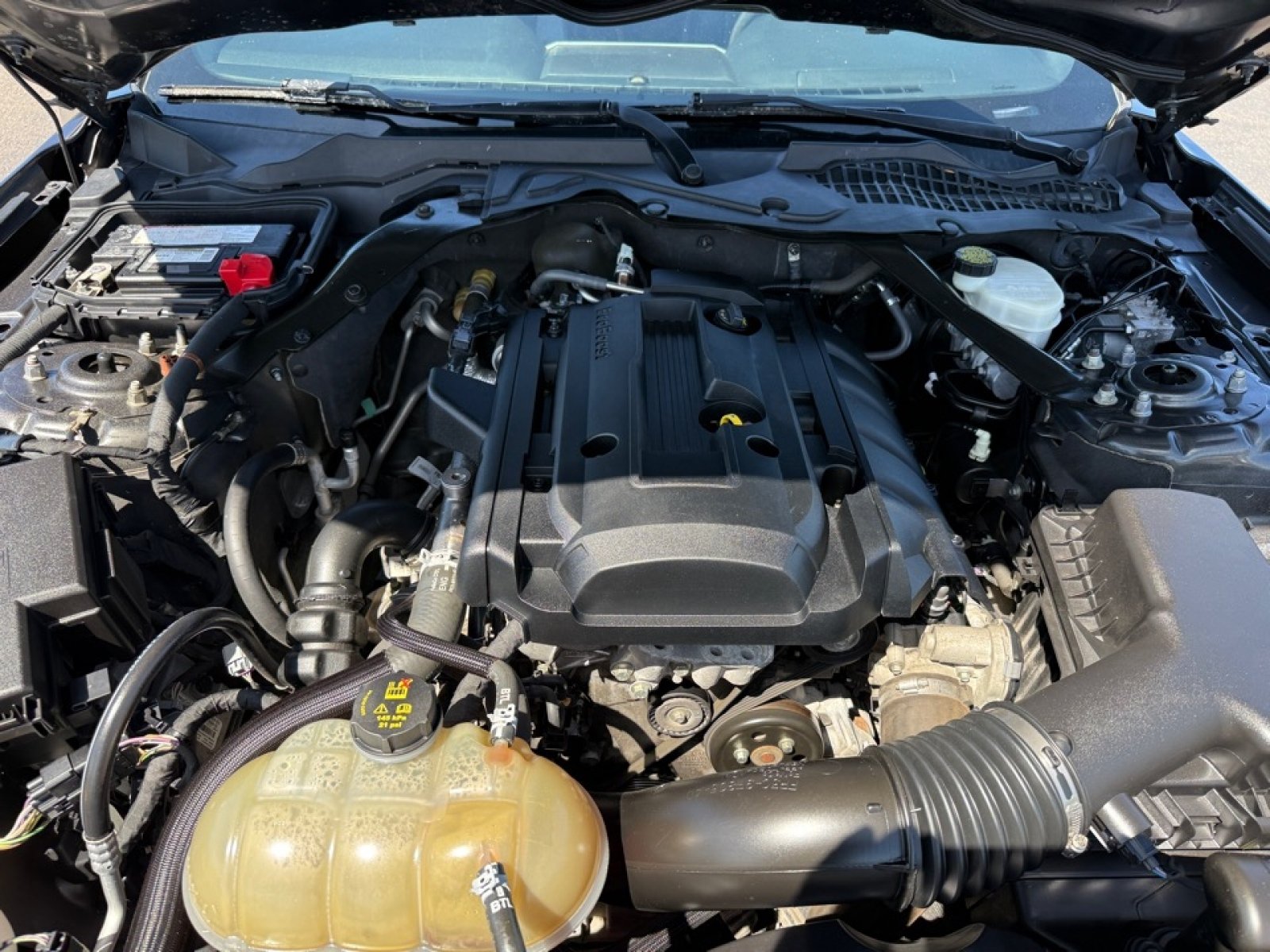 Used 2015 Ford Mustang Premium RWD image 33