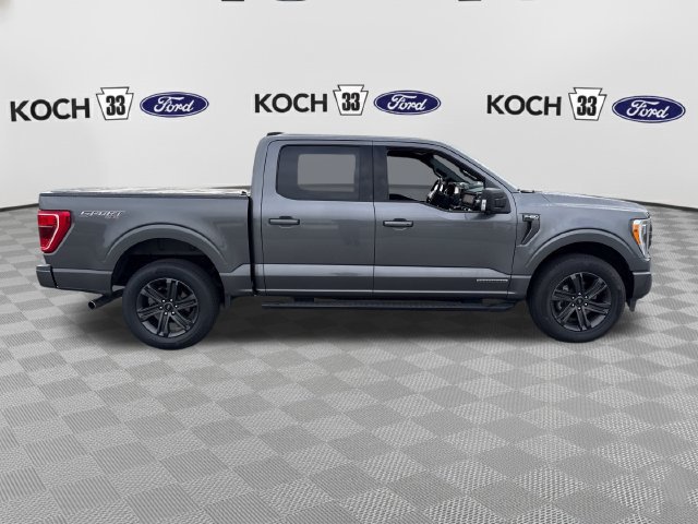 Used 2023 Ford F150 XLT w/ Equipment Group 302A High AWD/4WD image 9