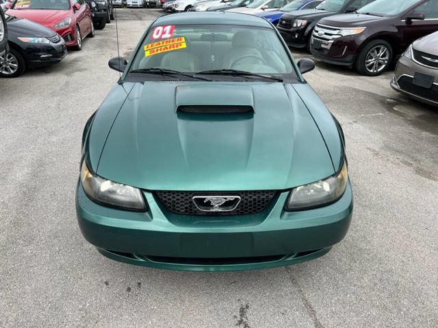 Used 2001 Ford Mustang GT RWD image 3