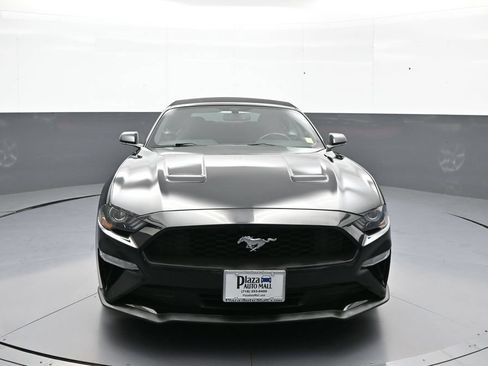 Used 2019 Ford Mustang Convertible RWD image 2