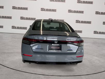 New 2026 Honda Accord Sport