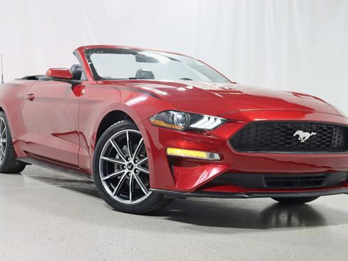 Used 2019 Ford Mustang Premium w/ Equipment Group 201A image 8