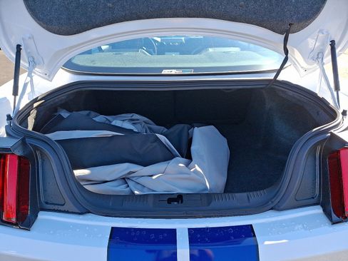 Used 2016 Ford Mustang Shelby GT350 w/ Technology Package image 31