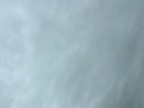 Used 2012 Subaru Forester 2.5X Limited w/ Rugged Pkg 1 image 16