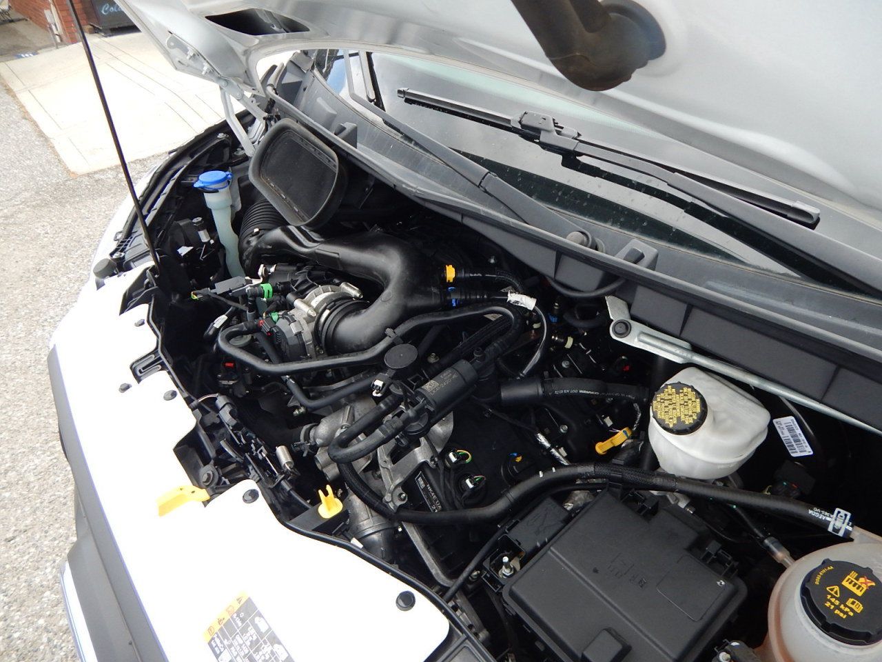 Used 2022 Ford Transit 250 Low Roof RWD image 24