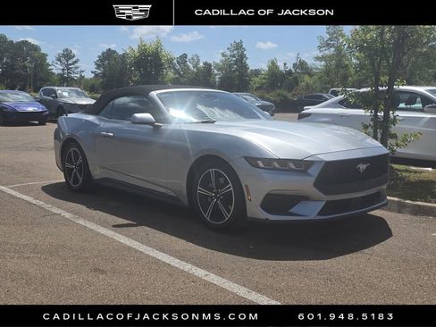 Used 2024 Ford Mustang Premium image 3