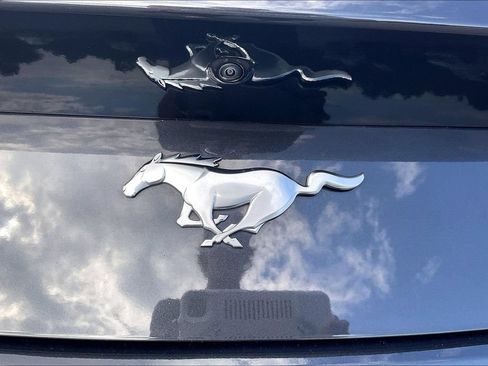 Certified 2024 Ford Mustang Premium RWD image 8