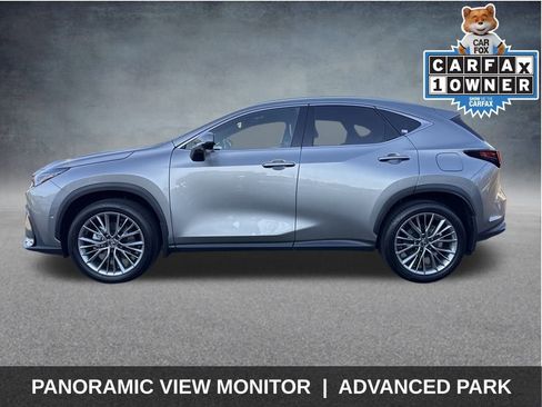 Used 2025 Lexus NX 300h 350h Luxury image 5