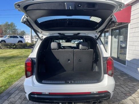 Used 2024 Hyundai Palisade Calligraphy image 21