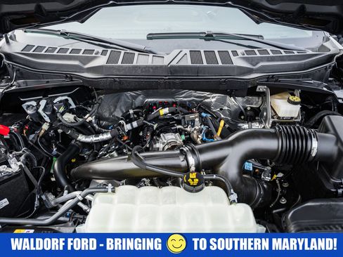 Used 2024 Ford F150 XLT image 19