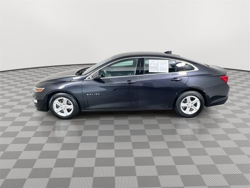 Used 2023 Chevrolet Malibu LT image 5