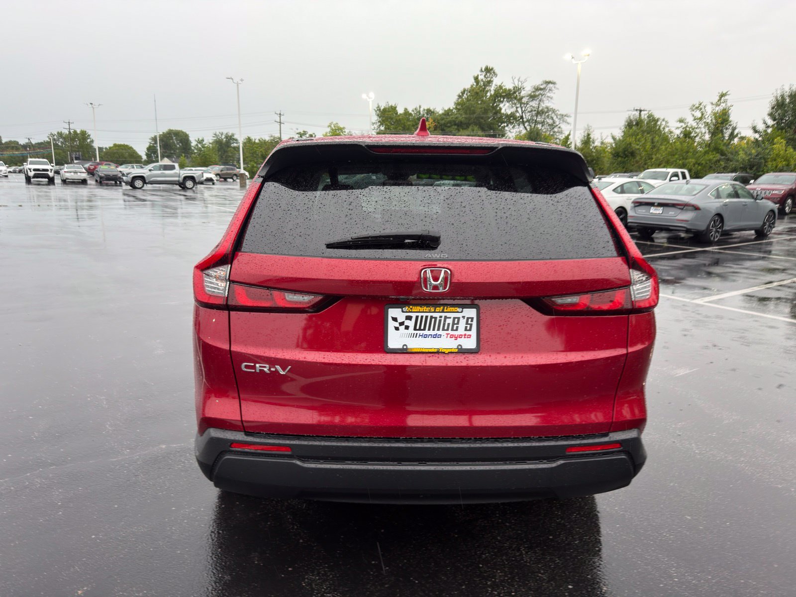 Used 2024 Honda CR-V EX image 5