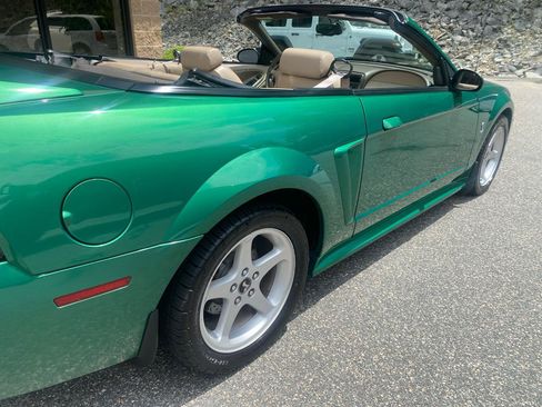 Used 1999 Ford Mustang Cobra RWD image 25