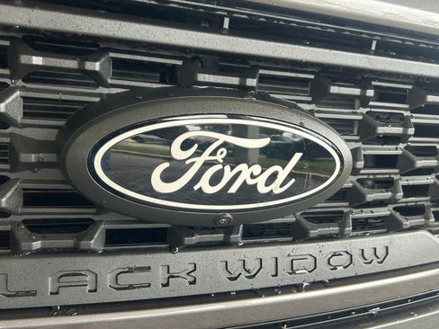 New 2025 Ford F150 XLT w/ Equipment Group 303A High image 20