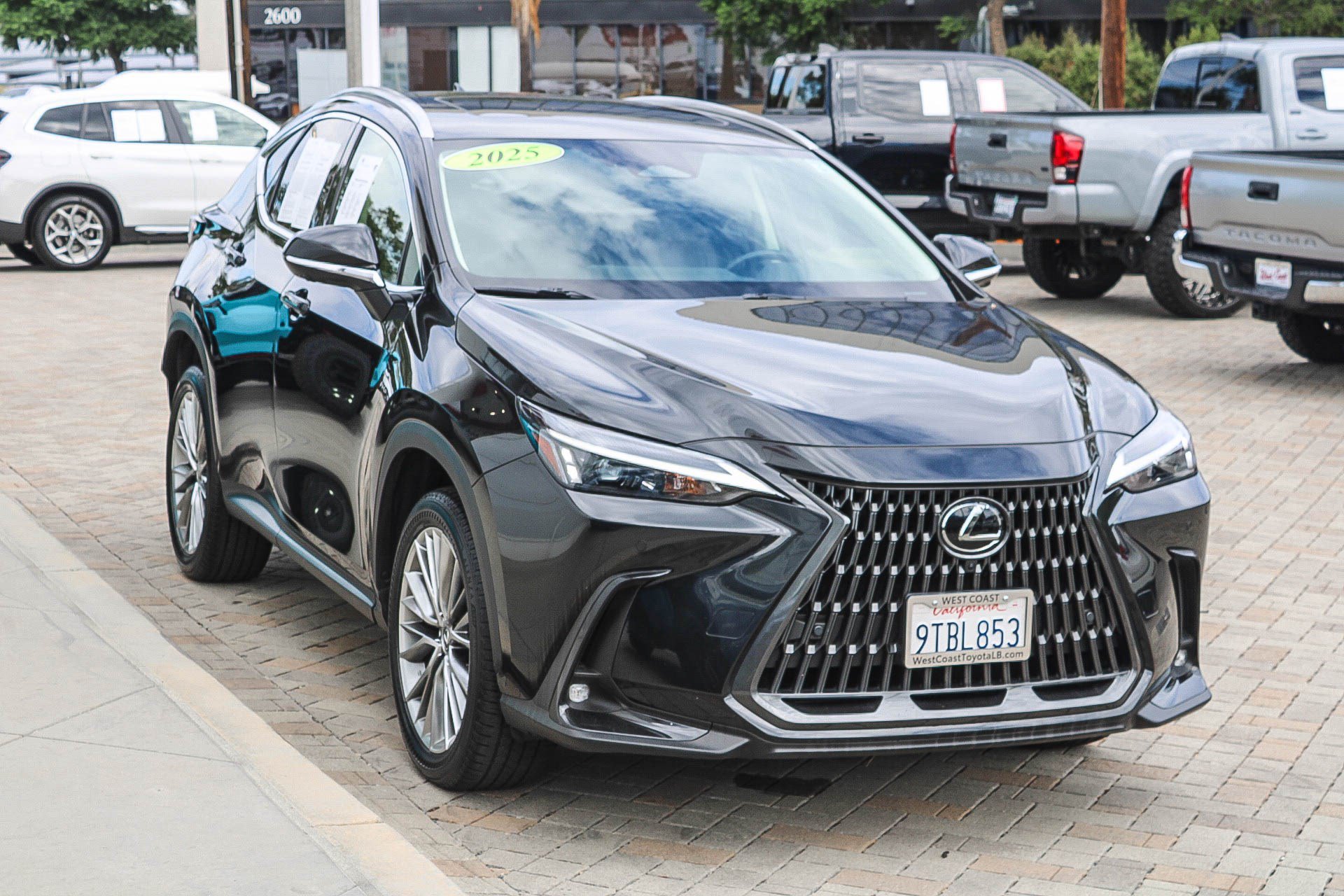 Used 2025 Lexus NX 350 AWD w/ Cold Area Package image 3