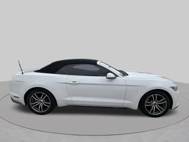 Used 2017 Ford Mustang Premium RWD image 2