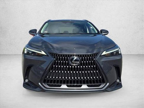 Used 2024 Lexus NX 250 FWD w/ Cold Area Package image 2
