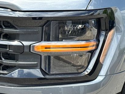 New 2026 Ford F150 XLT w/ XLT Black Appearance Package