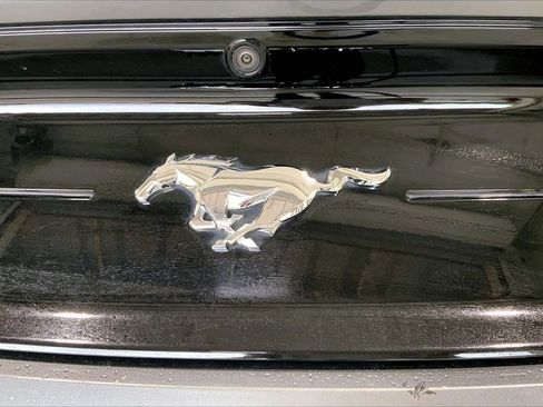 Used 2022 Ford Mustang Premium w/ Equipment Group 201A RWD image 9
