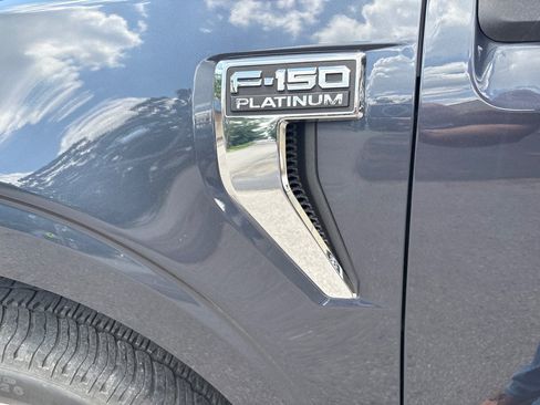 Used 2021 Ford F150 Platinum w/ Equipment Group 701A High AWD/4WD image 11