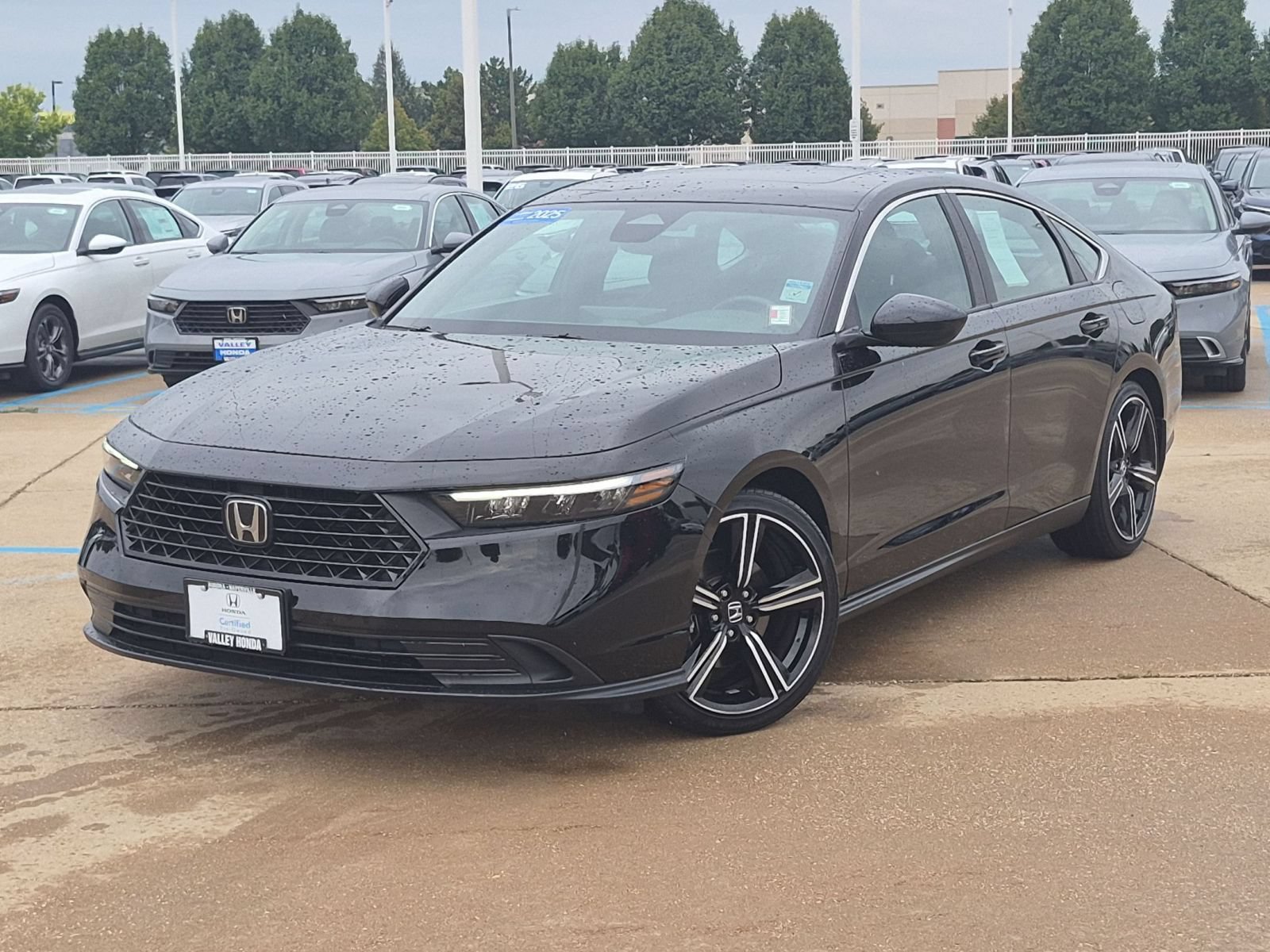 Used 2025 Honda Accord Sport image 2