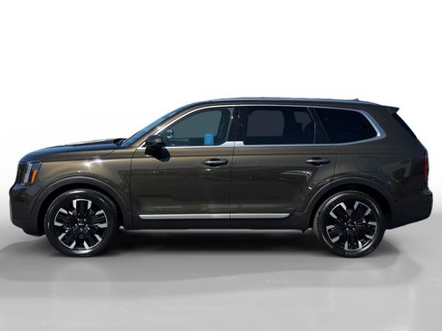 Used 2023 Kia Telluride SX Prestige AWD/4WD image 2