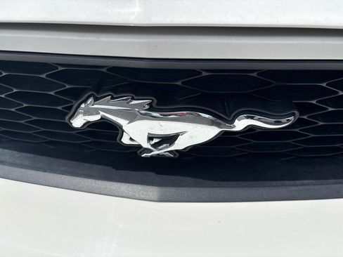 Used 2010 Ford Mustang Convertible RWD image 4