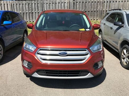 Used 2019 Ford Escape SE FWD image 10