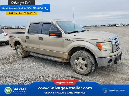 Used 2010 Ford F150 4x4 SuperCrew image 5