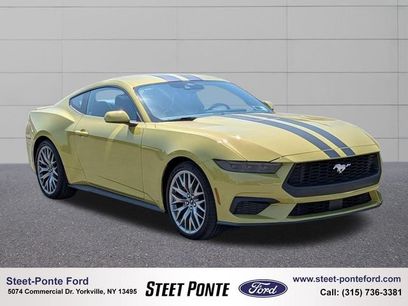 Used 2025 Ford Mustang Premium