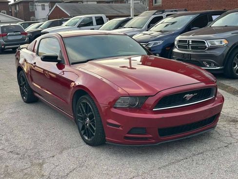 Used 2014 Ford Mustang Coupe w/ FP6 Appearance Package image 1